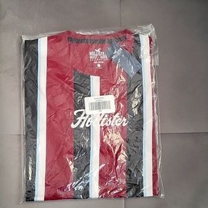 🆕️Hollister Vertical Stripe Embroidered Graphic Tee. Burgundy Stripe Size L